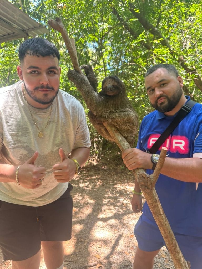 824e8d6f-19e7-4c51-8619-f1fc3b901eca Large